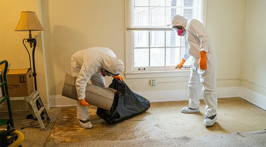 Crime Scene Cleanup